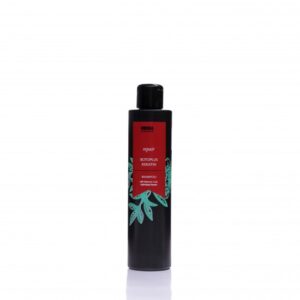 Шампунь відновлюючий INVIDIA BOTOPLUS для пошкодженого волосся (200ml)